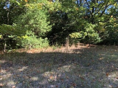 Lake Michigan - Emmet County Lot For Sale in Mackinaw City Michigan