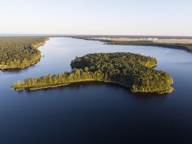 Lake Home For Sale in Oscoda, Michigan