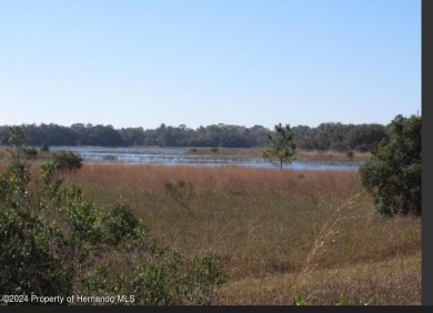  Lot For Sale in Weeki Wachee Florida