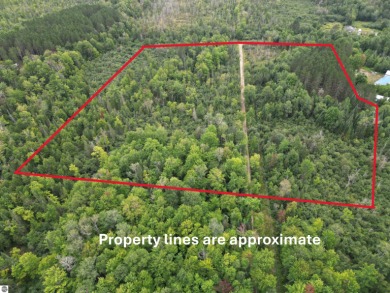 Lake Acreage For Sale in Kalkaska, Michigan