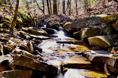 Lake Acreage For Sale in Dunlap, Tennessee