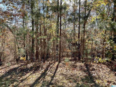 Large off-water lot located in Hunter Bend Subdivision Phase III - Lake Lot For Sale in Wedowee, Alabama