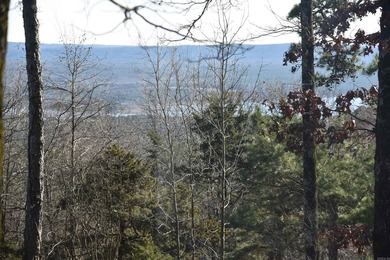 Experience lake living in this Greers Ferry Lake view home in - photo 37