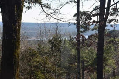 Experience lake living in this Greers Ferry Lake view home in - photo 39