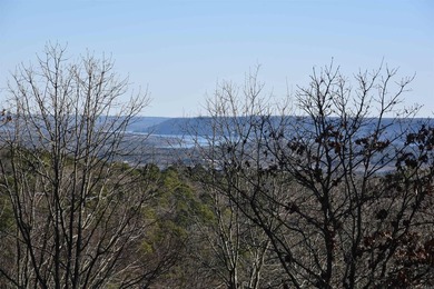 Experience lake living in this Greers Ferry Lake view home in - photo 40