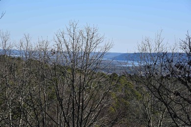 Experience lake living in this Greers Ferry Lake view home in - photo 42