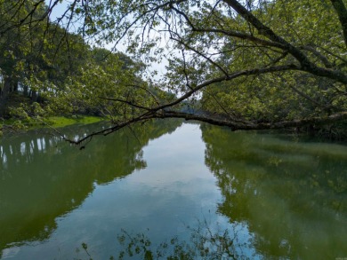 Lake Lot For Sale in Pangburn, Arkansas