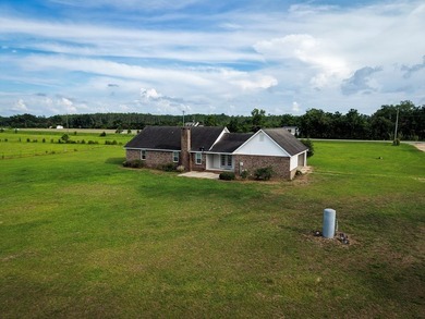 Warm and inviting house nestled on 25.8 acres, this property - photo 33