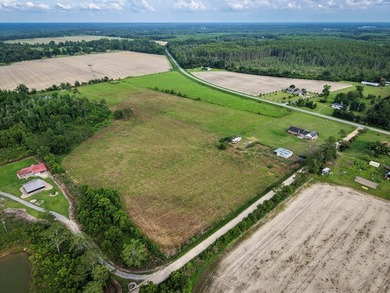 Warm and inviting house nestled on 25.8 acres, this property - photo 41