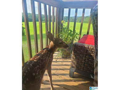 Lake Home For Sale in Munford, Alabama