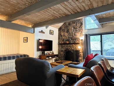 41935 Switzerland Dr 113 - photo 6