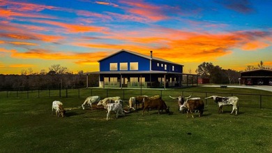 (private lake, pond, coastal) Home For Sale in Buffalo Texas