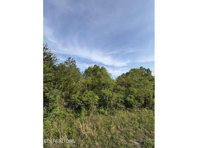 Want to get in a lake community at a great price? This lot - photo 1
