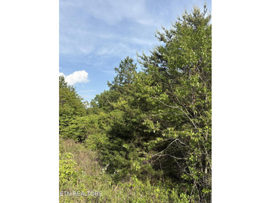Want to get in a lake community at a great price? This lot - photo 2