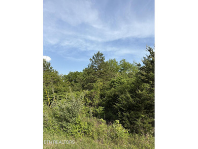 Want to get in a lake community at a great price? This lot - photo 3
