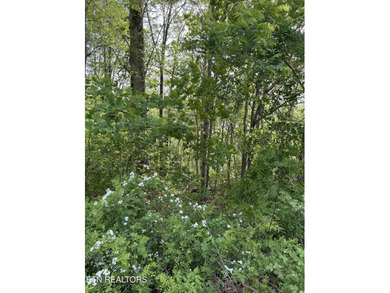 Want a lakeview lake in a community where you have a barn for - photo 1