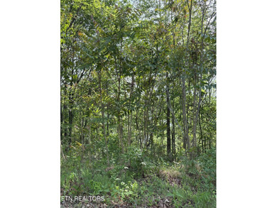 Want a lakeview lake in a community where you have a barn for - photo 3