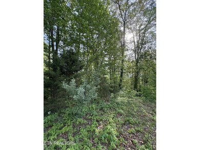 Want a lot that is close to the lake to build your dream - photo 1