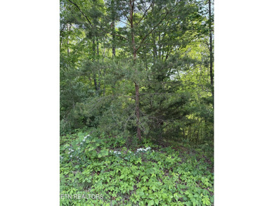 Want a lot that is close to the lake to build your dream - photo 2