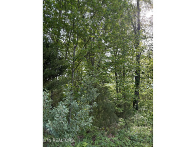 Want a lot that is close to the lake to build your dream - photo 4
