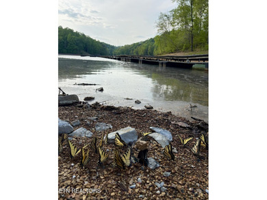 Want a lot that is close to the lake to build your dream - photo 9