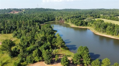 (private lake, pond, creek) Acreage For Sale in Winona Texas