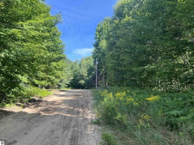 Manistee Lake - Kalkaska County Lot For Sale in Kalkaska Michigan