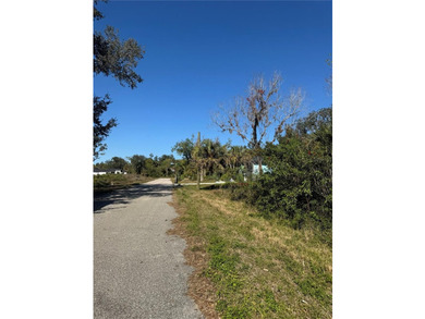 Build your dream home on this stunning 0.23-acre vacant lot - photo 5
