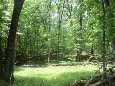 Lake Lot For Sale in Arkdale, Wisconsin