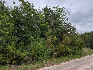 Positioned within the gated Canyon Creek community, this wooded - photo 4