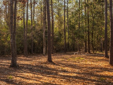 This highly versatile, divisible, and ONLY large-scale - photo 28