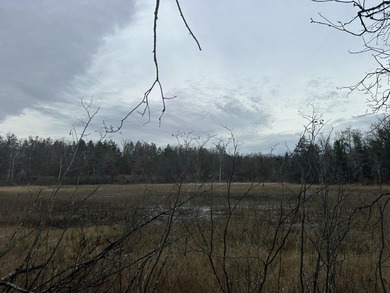 Lake Acreage For Sale in Comins, Michigan