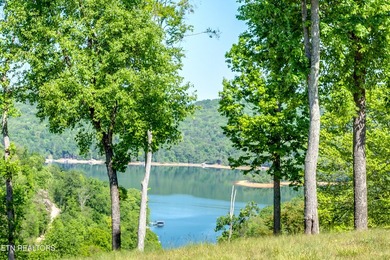 'Hickory Pointe on Norris Lake'' Lake and Mountain view home - photo 2