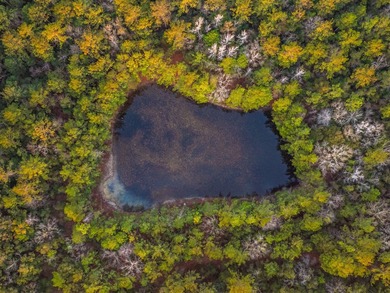 This highly versatile, divisible, and ONLY large-scale - photo 47