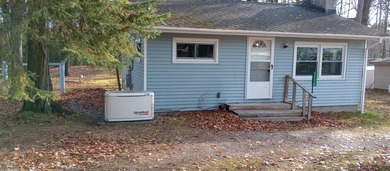 McCollum Lake Home For Sale in Curran Michigan