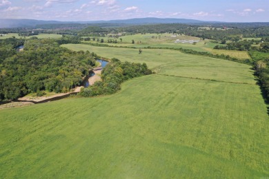 Lake Home For Sale in Hector, Arkansas