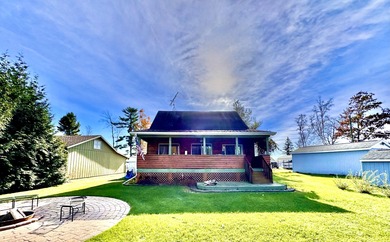 Chippewa Lake Home For Sale in Evart Michigan
