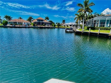 Experience true Marco Island living in this beautifully updated - photo 35
