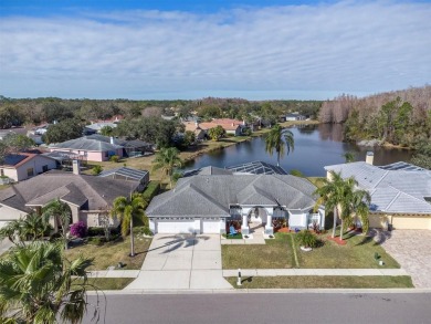 Lake Home For Sale in Palm Harbor, Florida