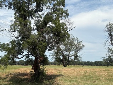 Brazos River - Parker County Lot For Sale in Weatherford Texas