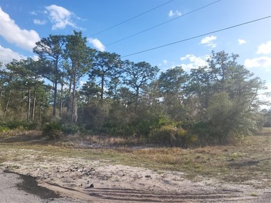 Lake Weohyakapka Lot For Sale in Indian Lake Estates Florida