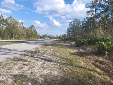 DON'T MISS THIS OPPORTUNITY TO OWN THE BEST OF OUR FLORIDA - photo 2