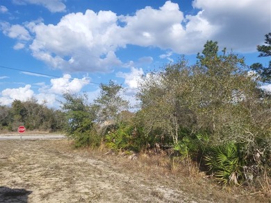 DON'T MISS THIS OPPORTUNITY TO OWN THE BEST OF OUR FLORIDA - photo 3