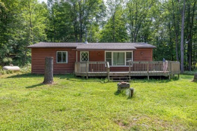 Little Lake Miramichi Home Sale Pending in Evart Michigan