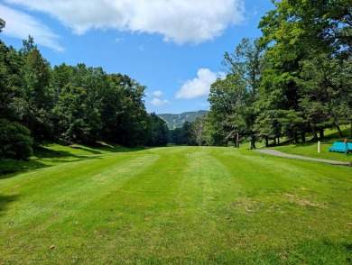 Lake Lot For Sale in Massanutten, Virginia