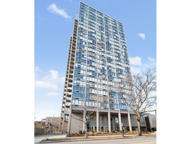 Lake Michigan - Cook County Condo For Sale in Chicago Illinois