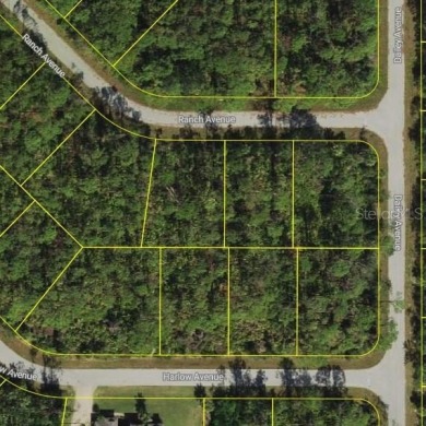 Port Charlotte Waterway Lakes Area Lot For Sale in Port Charlotte Florida