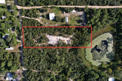 (private lake, pond, creek) Acreage For Sale in Deland Florida