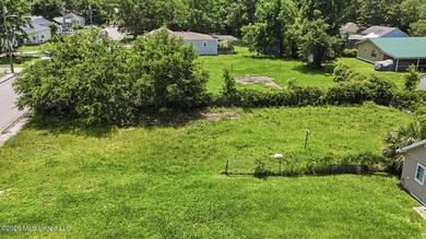 Cleared land in downtown Biloxi. City Lot ready to be built in - photo 18