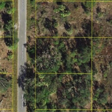Port Charlotte Waterway Lakes Area Lot For Sale in Port Charlotte Florida